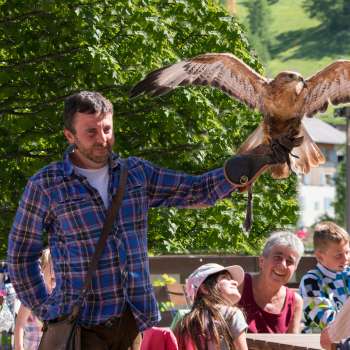 A falconer presents a bird of prey, children and adults watch enthusiastically.