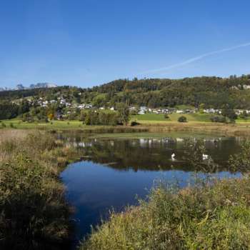 Winter atmosphere at Egelsee in Mauren with frozen lake, snow-covered reeds and clear sky.