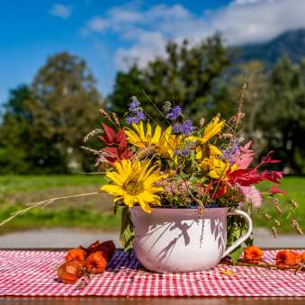 An autumnal bouquet of wild flowers in an enamel cup stands on a red and white checkered tablecloth, with mountains in Liechtenstein in the background.