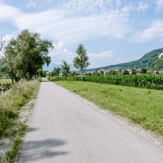 Asphalted path between fields and trees with a view of the mountains - Auweg in Liechtenstein in summer weather