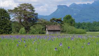 Extensive nature trail through the Ruggell Wetland with an impressive mountain panorama on a sunny day