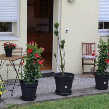 Terrace holiday home Annette