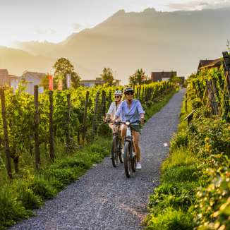 Two cyclists in the Liechtenstein vineyards at sunset - e-bike tour with views of the Alps and vines