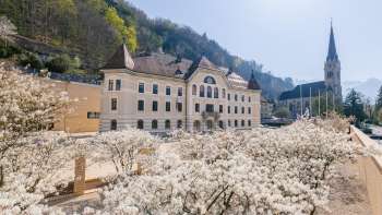 Government building in Vaduz with white flowers in the foreground in bright sunshine