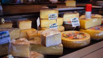 Varied selection of regional cheeses in the counter of the Bangshof farm store in Liechtenstein, fresh and handmade.