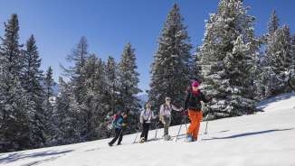 Group of snowshoe hikers on their way through the snowy winter landscape near Malbun on the Schönberg mountain.