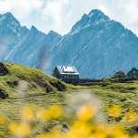 Distant view of the Pfälzer hut in Liechtenstein with wild flowers in the foreground and steep rocky peaks in the background