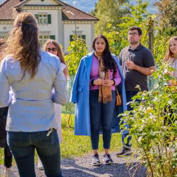 Guided tour and tasting at the Court Winery of the Prince of Liechtenstein