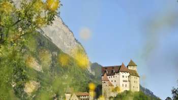 Gutenberg Castle with yellow flowering bushes in the foreground.