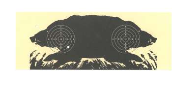 Air rifle range (10m) Guferwald