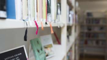 View into the Literaturhaus Liechtenstein with a focus on books on a bright shelf
