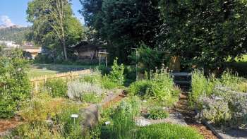 look at the herb garden in Mauren with labeled plant beds, flowering herbs and well-tended paths in summery surroundings.