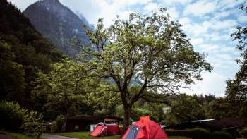 Campsite at Camping Mittagsspitze with red tents under a large tree against a mountain backdrop.