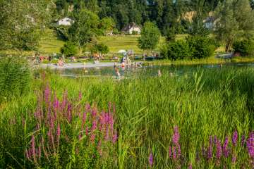 Grossabünt bathing lake in Gamprin with bathers, sunbathing lawn and flowering plants in the foreground