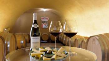 Cheese and wine on a table at a wine tasting at the Court Winery of the Prince of Liechtenstein