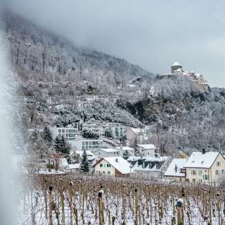 Snow-covered vineyards and houses in Vaduz with a view of Vaduz Castle on a wintry day