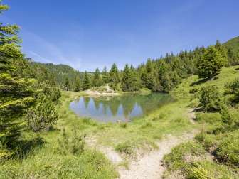 "Sassseeli" in Malbun - a quiet retreat surrounded by fir trees