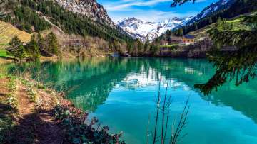 Crystal-clear mountain lake Gänglesee lake in Steg, Liechtenstein - surrounded by forests, mountains and fresh spring greenery