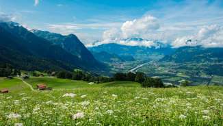 Panoramic view from Masescha with a flowering meadow in the foreground and a wide view over the Rhine Valley and the Alps in the background.