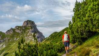 Hikers on a narrow path through mountain pines in Malbun, Liechtenstein with a view of rocky mountain peaks