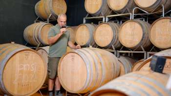 Winemaker Harry Zech checks the quality of the wine during barrel tasting in the wine cellar - artisanal production in Liechtenstein.