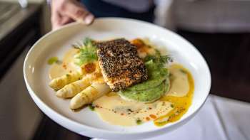Close-up of an asparagus dish with creamy sauce served on a white plate at Gaflei Stuba