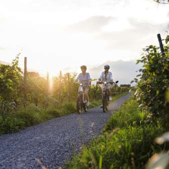 Two women cycle through the vines in Liechtenstein at sunset - enjoying nature and an active vacation at dusk