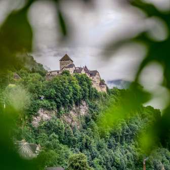 Vaduz Castle sits enthroned on a hill above the city, surrounded by forest - photographed through the blur of green leaves in the foreground.