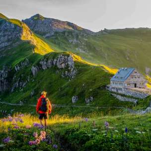 Hiker looks at the Pfälzer hut in Liechtenstein, surrounded by a green mountain landscape and Alpine panorama in the evening light
