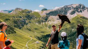 Family watches falconer with bird of prey