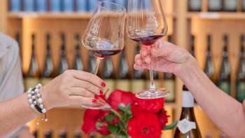 Tasting at the Court Winery of the Prince of Liechtenstein