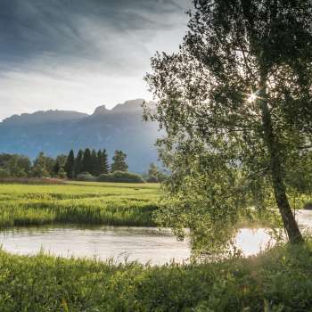 Tranquil water landscape in the Ruggell Wetland with soft sunlight and a view of the mountains in the background