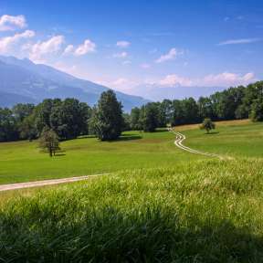 Bofel in Triesen: winding hiking trail through meadows with a view of the mountains