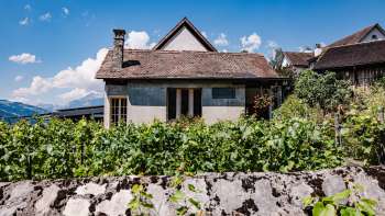 Traditional house of the Torkel restaurant, surrounded by vines with a view of the Alps.
