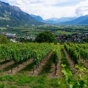 Castellum Winery