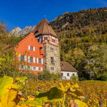 The Red House in Vaduz surrounded by autumnal vines on the hillside.