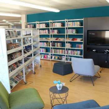 Cozy reading corner in the Liechtenstein National Library with armchairs and media wall between high bookshelves