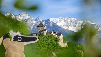 Detective Trail: On a treasure hunt in Vaduz with a view of Vaduz Castle and the White Mountains