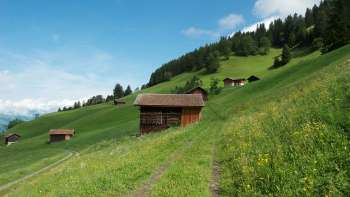 Alpine meadows with scattered wooden barns on a green slope near Masescha.