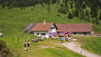  View of the Alp Guschg Nestled in green meadows and forest in the Wintergrund