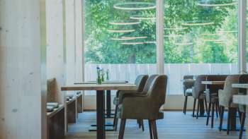 Bright, modern restaurant with wood paneling, comfortable seating and large windows with a view of the greenery
