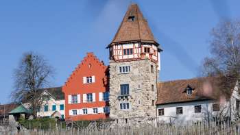 Red house with vineyard in the foreground