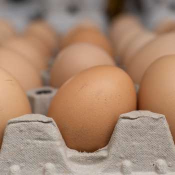 Fresh eggs from Neufeldhof in Liechtenstein - straight from the hen to the shelf, produced regionally and sustainably.