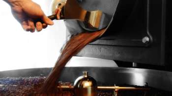 Freshly roasted coffee beans flow from a roasting machine into a collecting container Freshly roasted coffee beans flow from a roasting machine into a collecting container