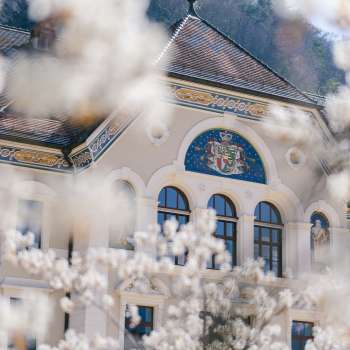 Facade of the government building in Vaduz, framed by white blossoming trees in spring.