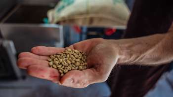 Close-up of a hand showing coffee beans from Demmel Kaffee