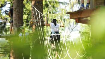 Woman crosses a net in the high ropes course, surrounded by dense greenery and sunlight