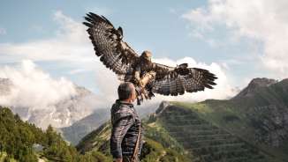 Falconer Norman Vögeli presents an imposing golden eagle against an Alpine mountain backdrop - an impressive natural spectacle at lofty heights.