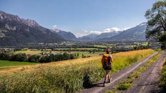 Hike with a view of the Rhine Valley Woman hiking on a dirt road with a panoramic view over the Rhine Valley in Liechtenstein