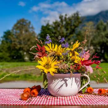 An autumnal bouquet of wild flowers in an enamel cup stands on a red and white checkered tablecloth, with mountains in Liechtenstein in the background.